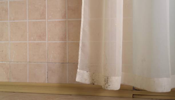 Best Mold-Related Health Consultation  in Martins Ferry, OH